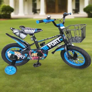 20" BB Fort Bicycle with Basket, Bottle Holder and Training Wheels