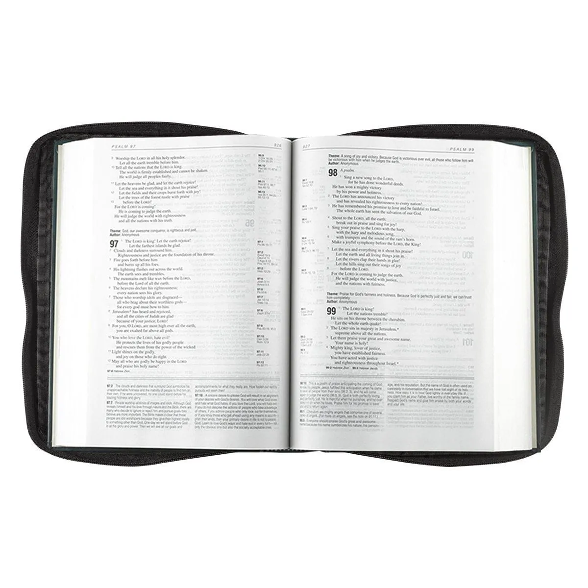 Bible Cover Value Black w/Fish