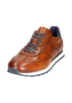 Ivar Trainer - Cognac