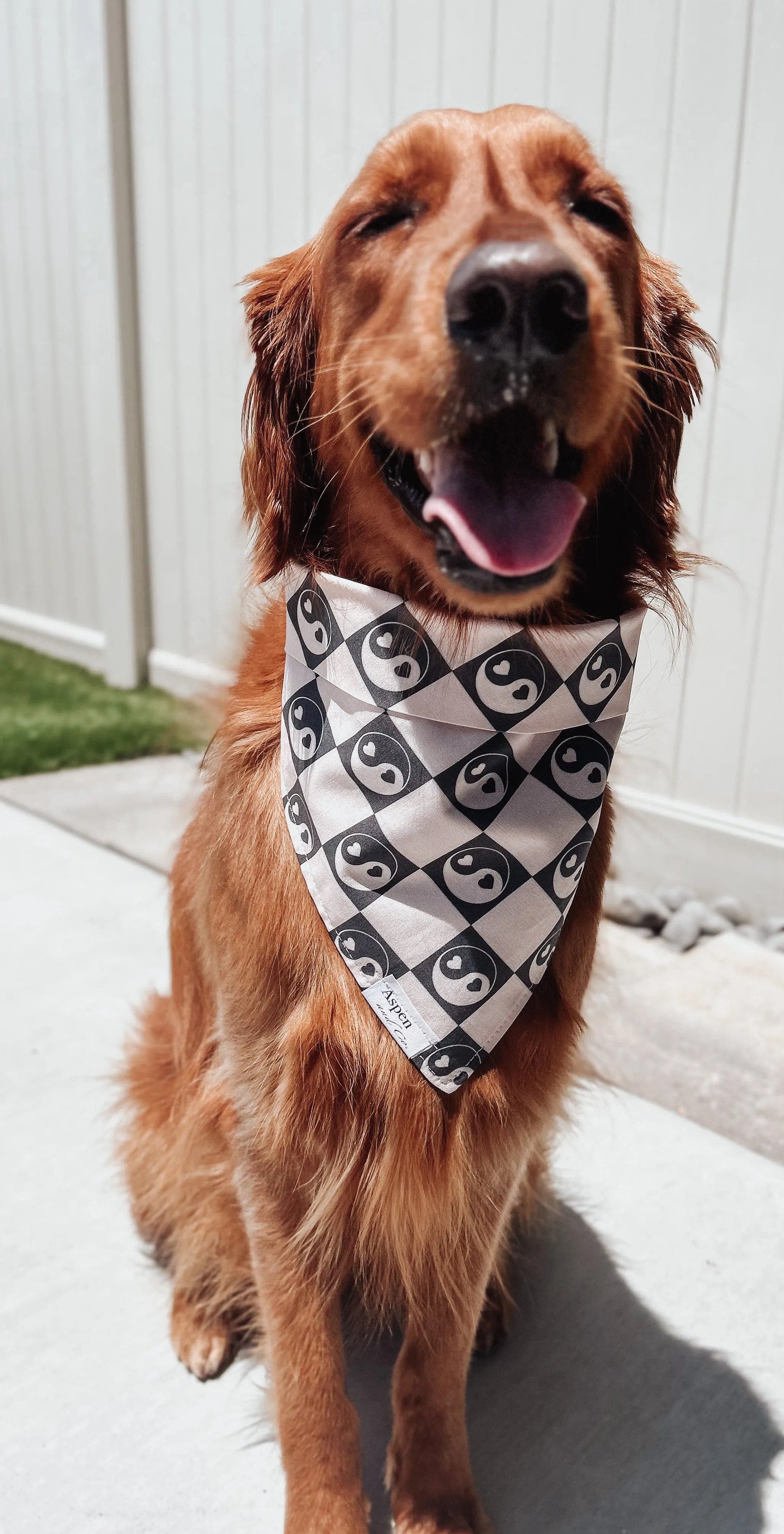 Peace Dog Bandana - Mental Health Collection