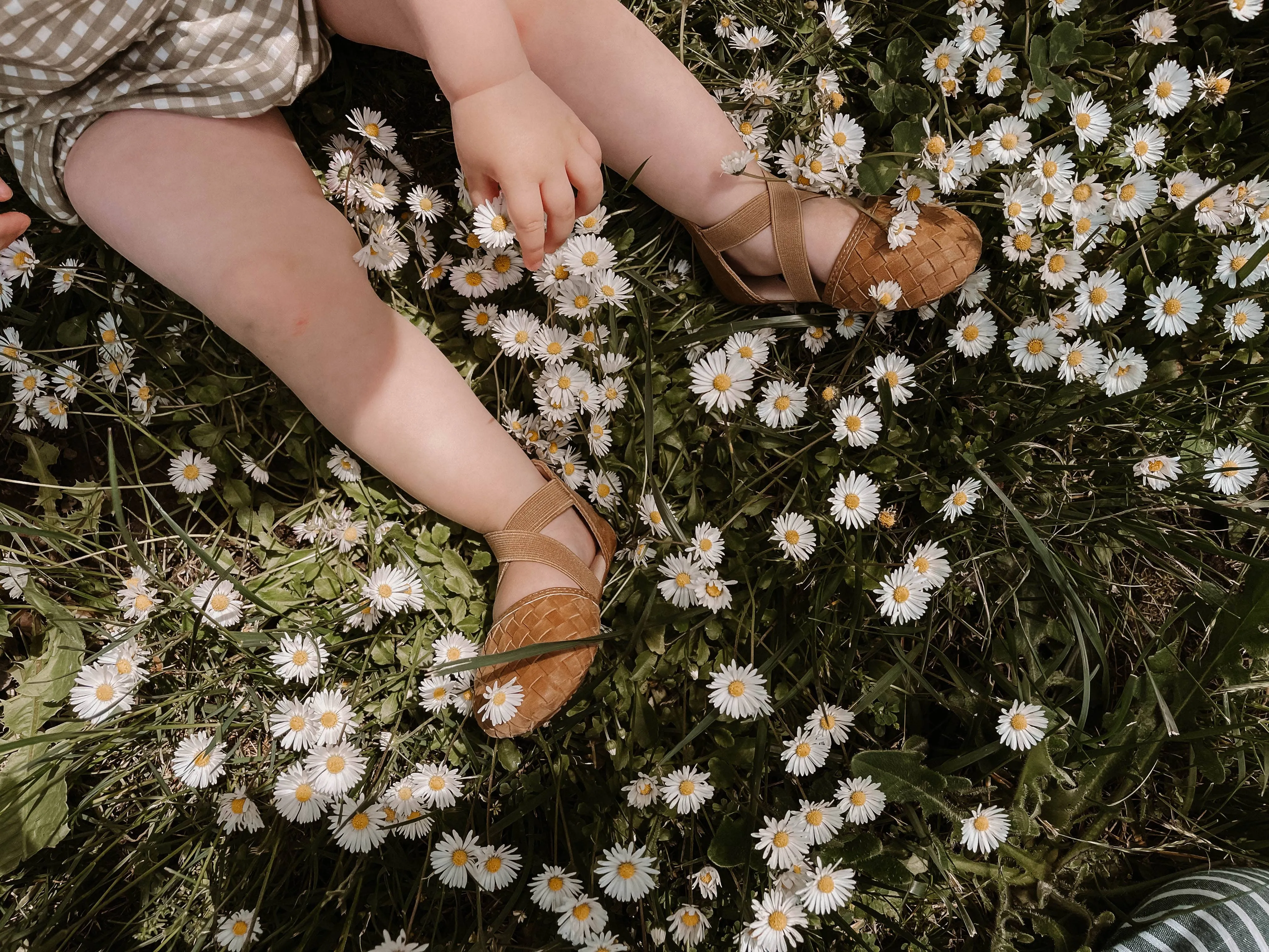 Pre-Order The Tinley