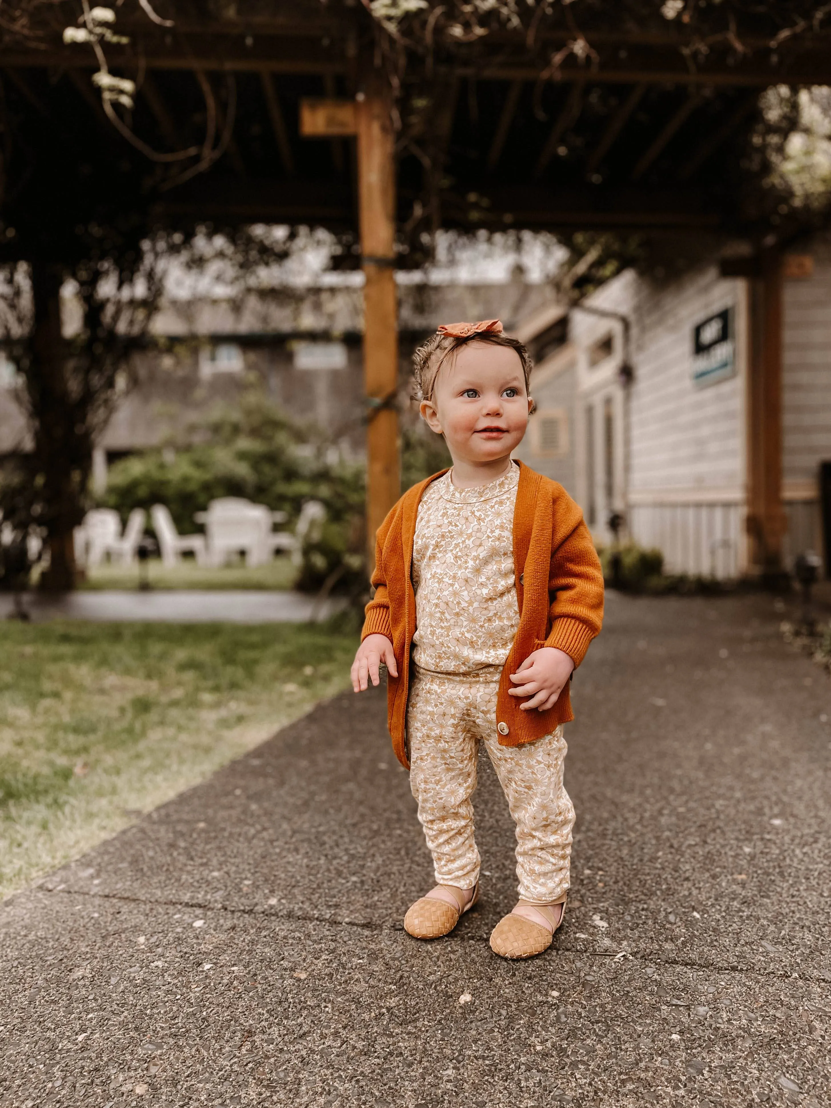Pre-Order The Tinley