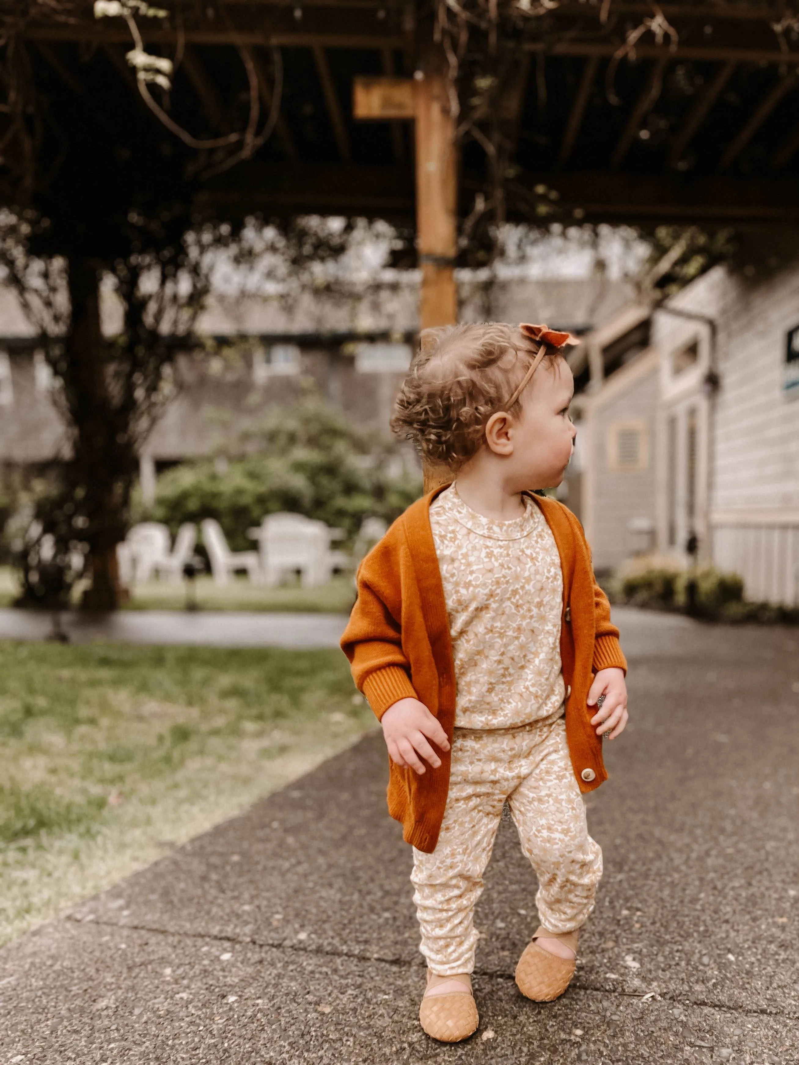 Pre-Order The Tinley