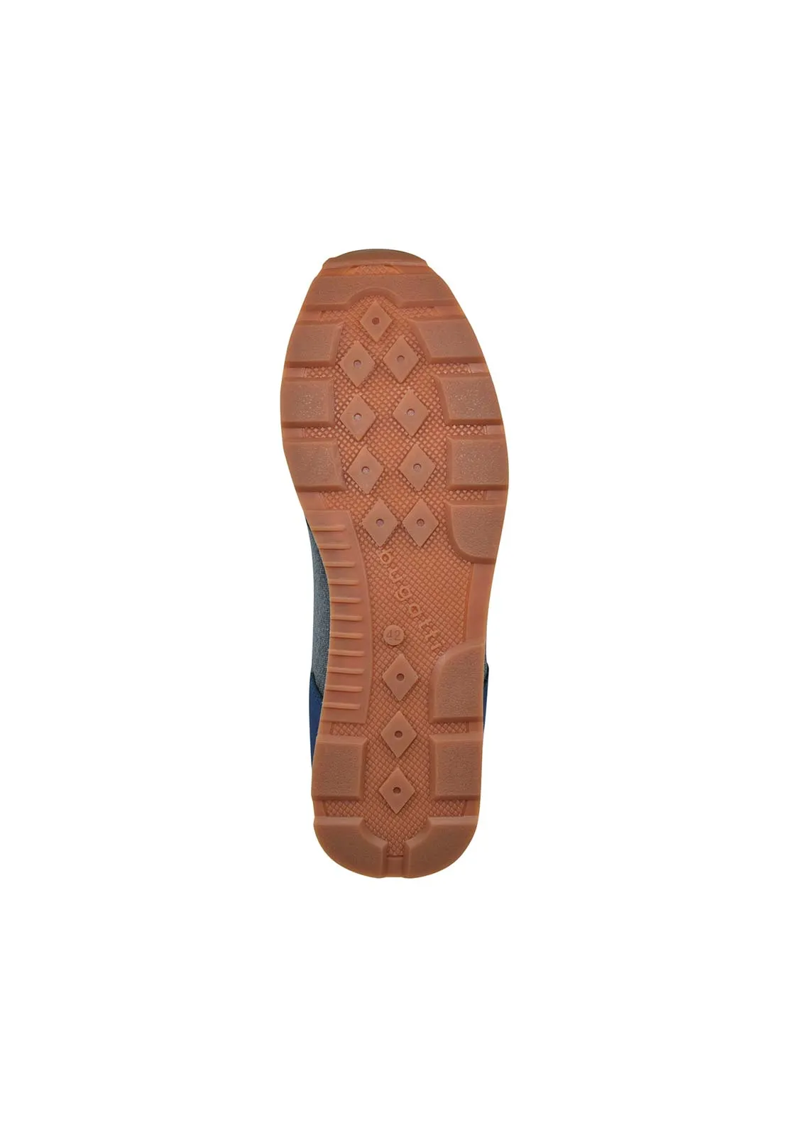 Sacramento Trainer - Multi