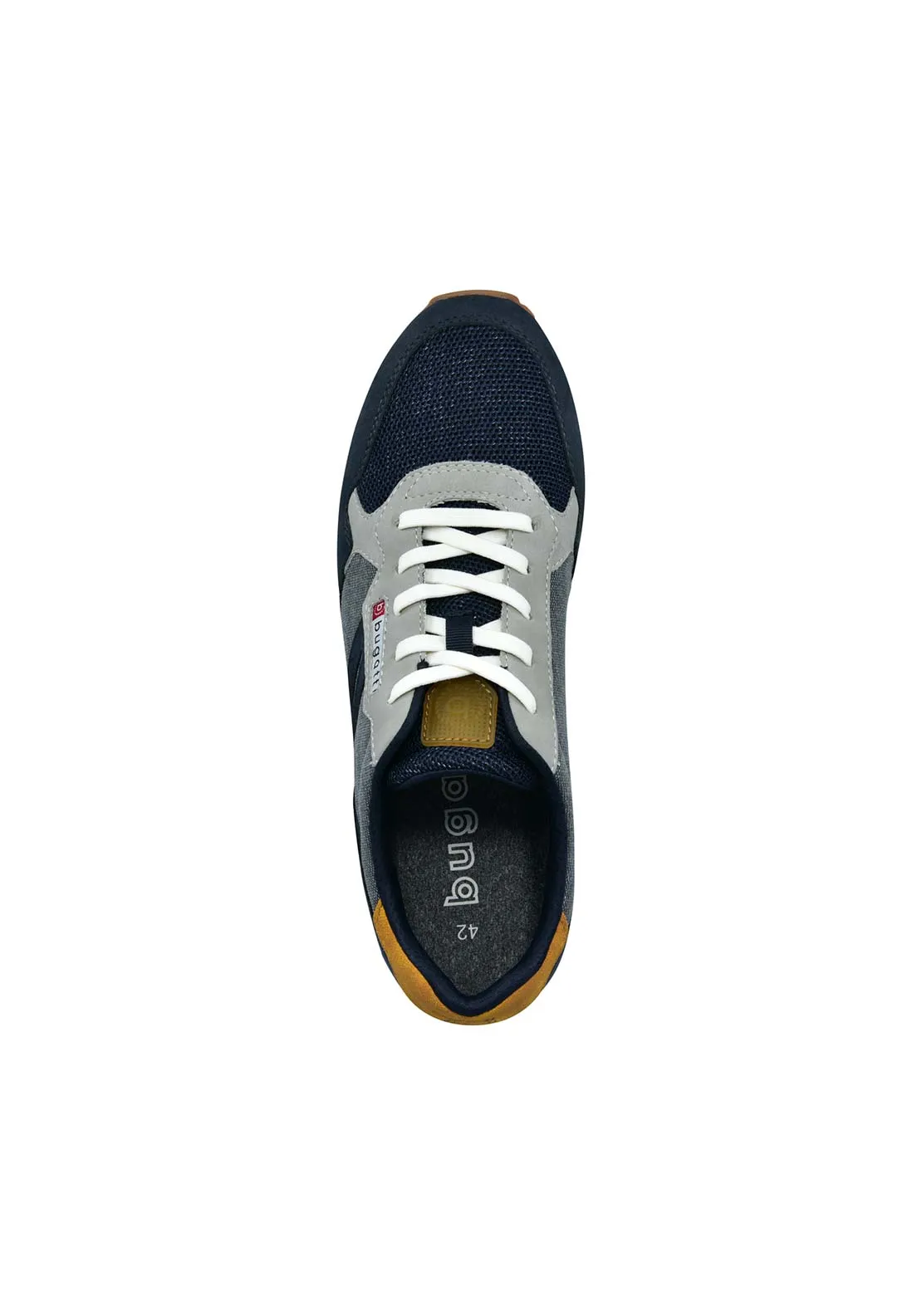Sacramento Trainer - Multi